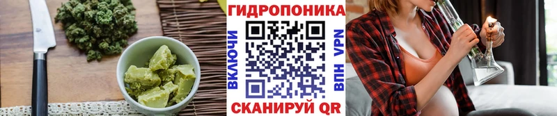 Cannafood конопля Лесной